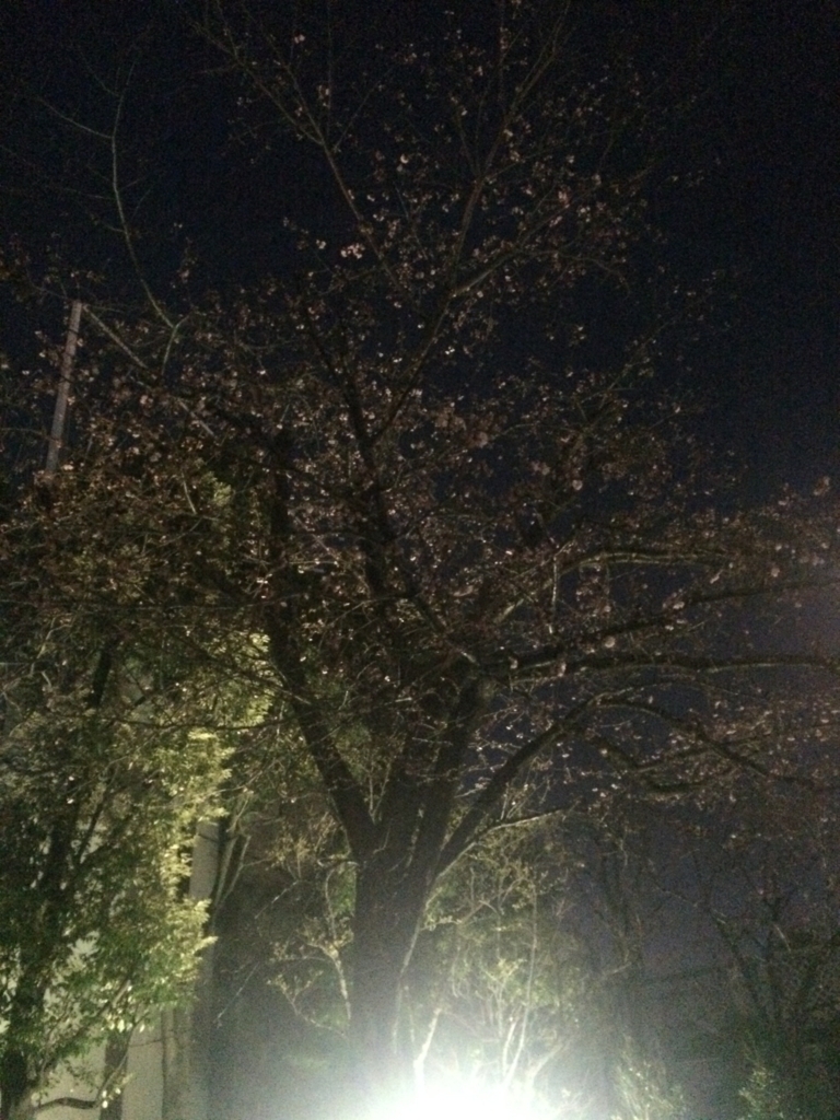 f:id:mochieyre:20180303193950j:plain f:id:mochieyre:20180303193950j:plain