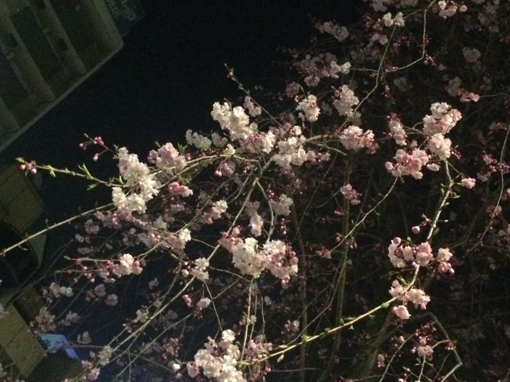 f:id:mochieyre:20180327193130j:plain f:id:mochieyre:20180327193130j:plain