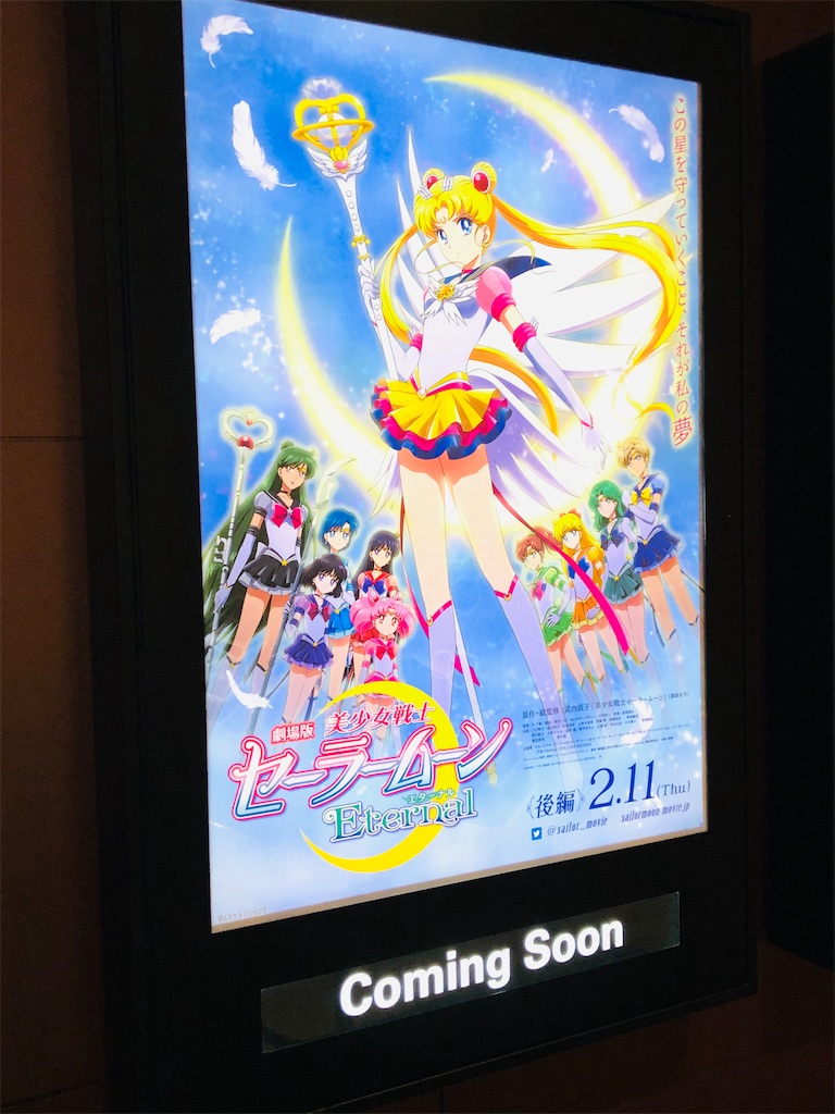 f:id:mochiichigo:20210108200640j:plain