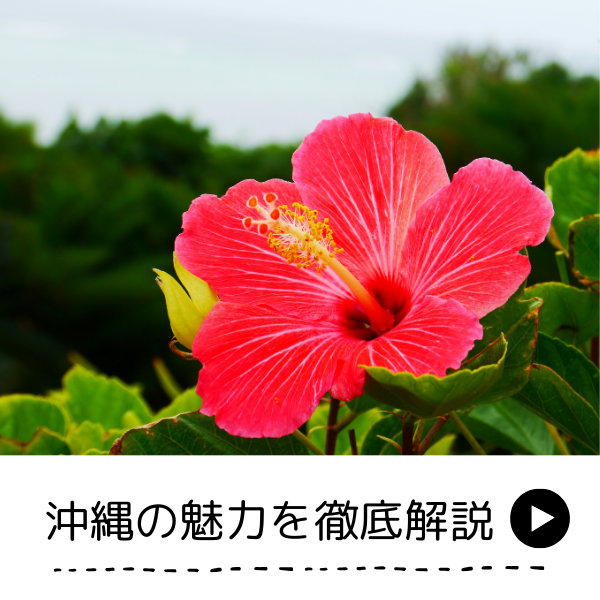 沖縄の魅力を徹底解説