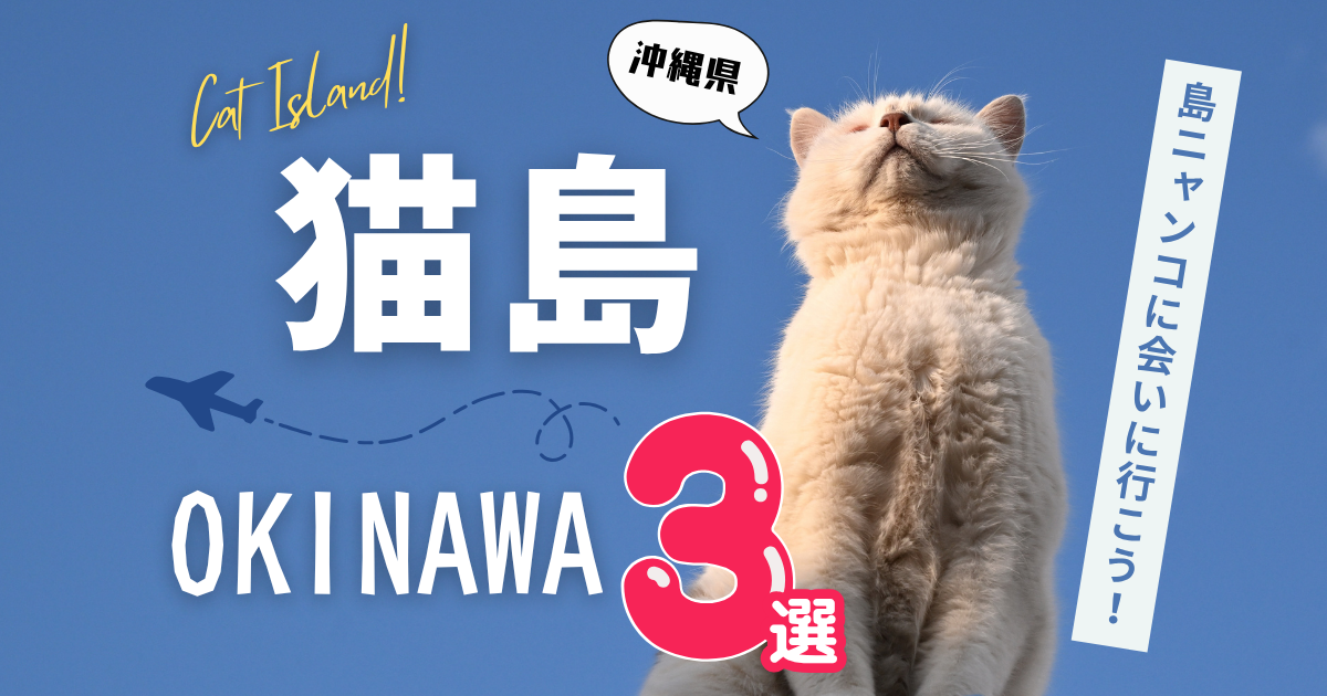 沖縄にも猫島はある？猫に出会える島まとめ【奥武島・竹富島・渡嘉敷島