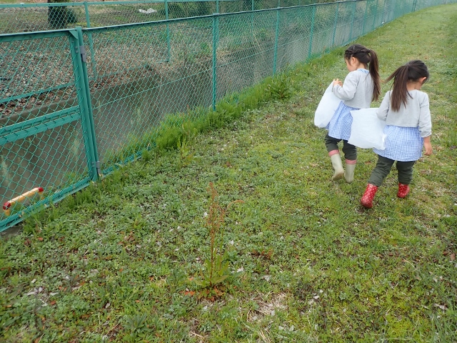f:id:mochikichi-blog:20200329084612j:plain