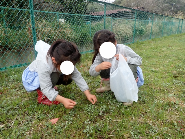 f:id:mochikichi-blog:20200329084628j:plain