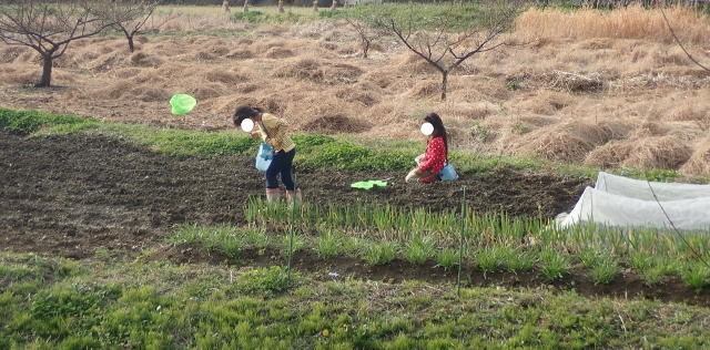 f:id:mochikichi-blog:20200329084745j:plain