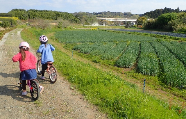f:id:mochikichi-blog:20200413212633j:plain