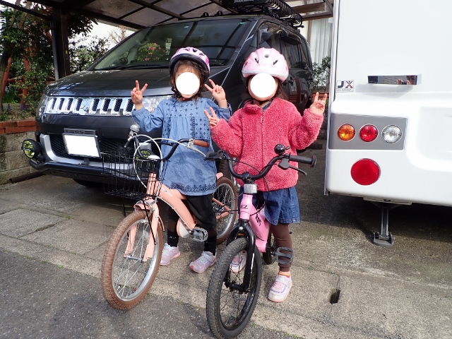 f:id:mochikichi-blog:20200413212645j:plain