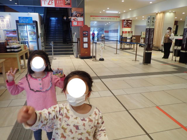 f:id:mochikichi-blog:20200530213405j:plain