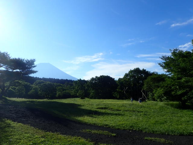 f:id:mochikichi-blog:20200623210324j:plain