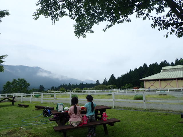 f:id:mochikichi-blog:20200628141502j:plain f:id:mochikichi-blog:20200628141502j:plain