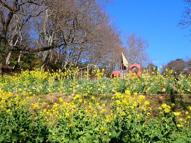 f:id:mochikichi-blog:20200701101614j:plain