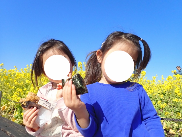 f:id:mochikichi-blog:20200701101627j:plain