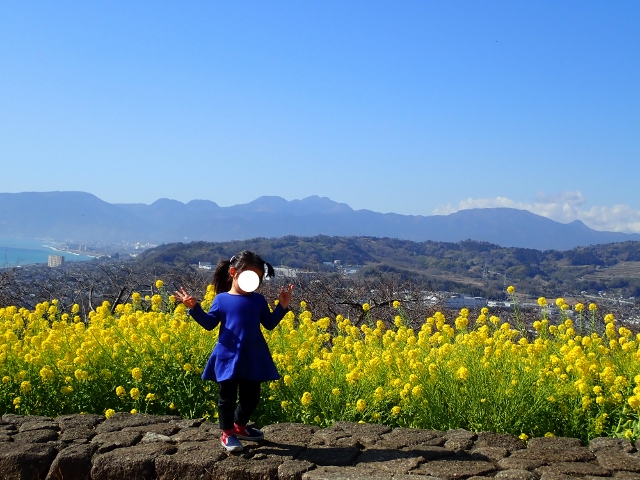 f:id:mochikichi-blog:20200701101633j:plain