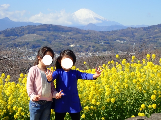 f:id:mochikichi-blog:20200701101648j:plain