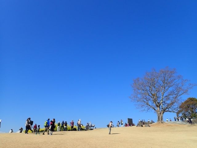 f:id:mochikichi-blog:20200701101653j:plain