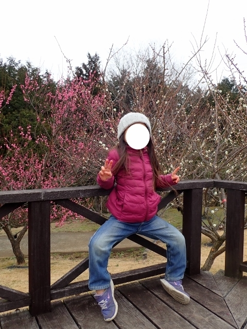 f:id:mochikichi-blog:20200701102802j:plain