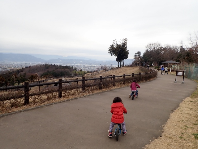f:id:mochikichi-blog:20200701102820j:plain