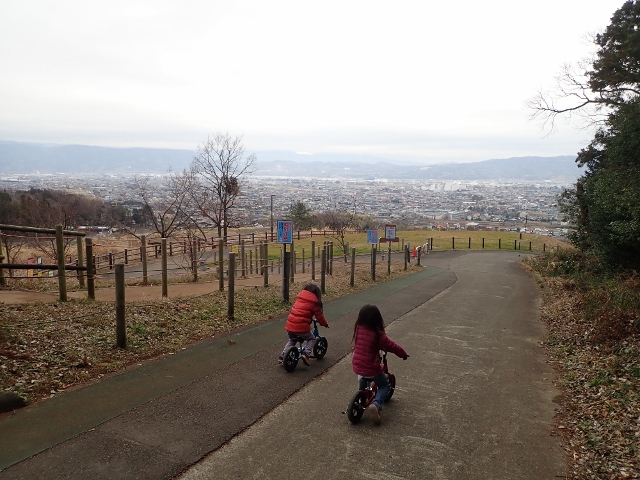 f:id:mochikichi-blog:20200701102828j:plain