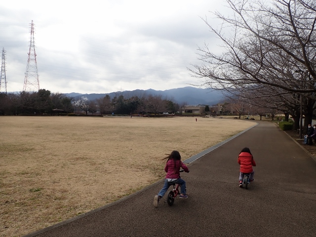 f:id:mochikichi-blog:20200701102910j:plain