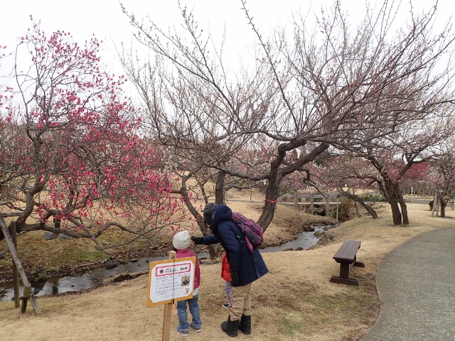 f:id:mochikichi-blog:20200701102934j:plain