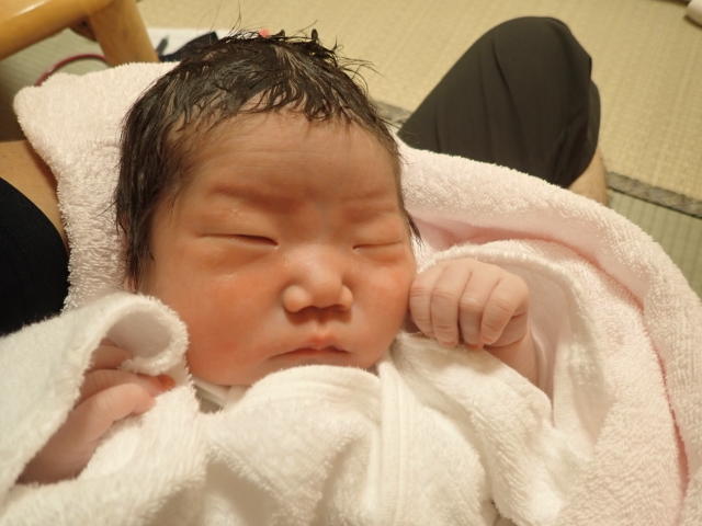 f:id:mochikichi-blog:20200808111653j:plain