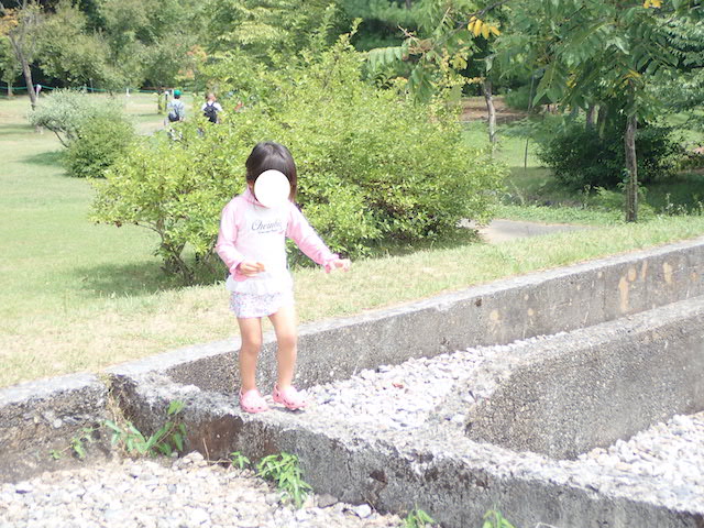 f:id:mochikichi-blog:20200904125533j:plain