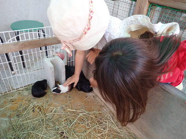 f:id:mochikichi-blog:20200904142641j:plain f:id:mochikichi-blog:20200904142641j:plain