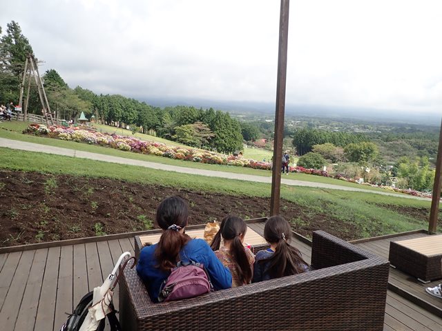 f:id:mochikichi-blog:20200929214912j:plain