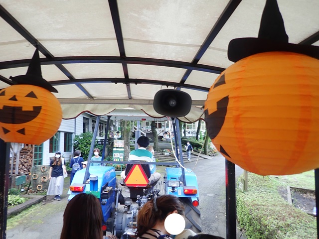 f:id:mochikichi-blog:20200929214952j:plain