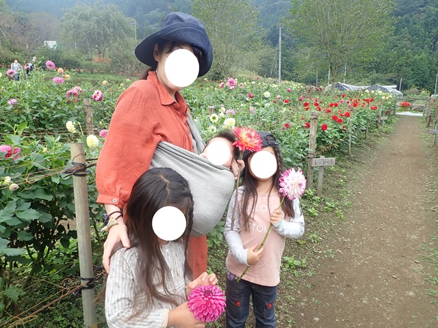 f:id:mochikichi-blog:20201009143643j:plain