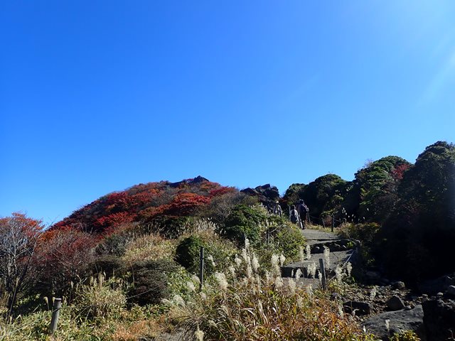 f:id:mochikichi-blog:20201020224111j:plain