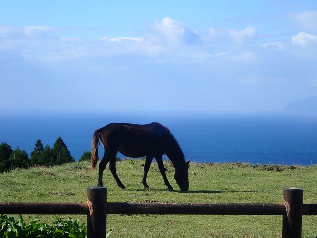 f:id:mochikichi-blog:20201215150520j:plain