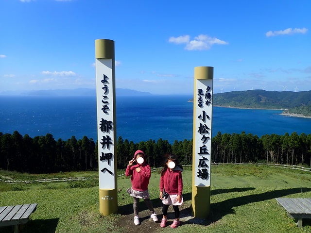 f:id:mochikichi-blog:20201215150558j:plain