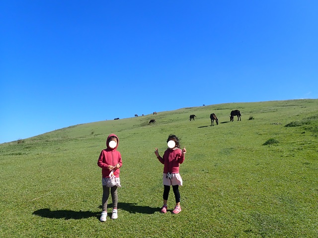 f:id:mochikichi-blog:20201215150604j:plain