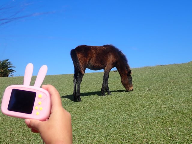 f:id:mochikichi-blog:20201215150705j:plain