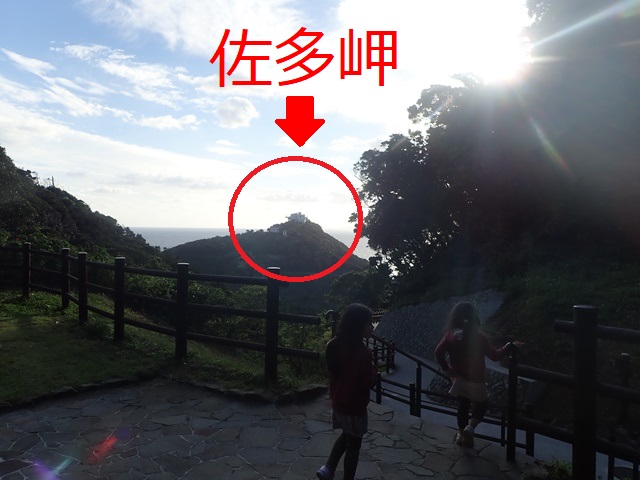 f:id:mochikichi-blog:20201219154359j:plain