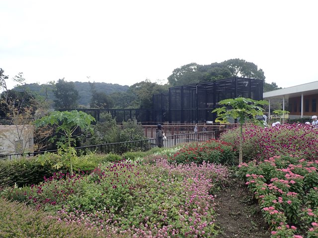 f:id:mochikichi-blog:20210103095035j:plain