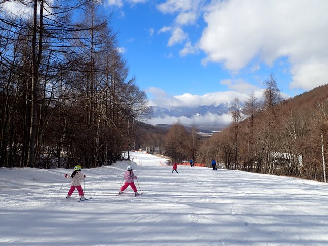 f:id:mochikichi-blog:20210117221301j:plain