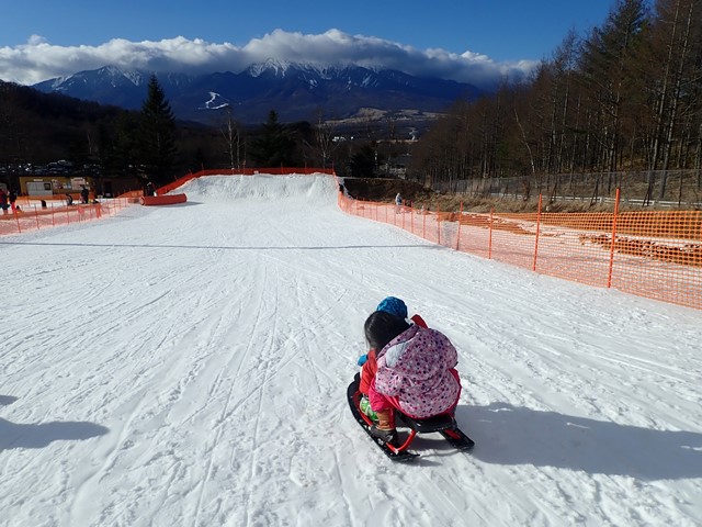 f:id:mochikichi-blog:20210117221326j:plain