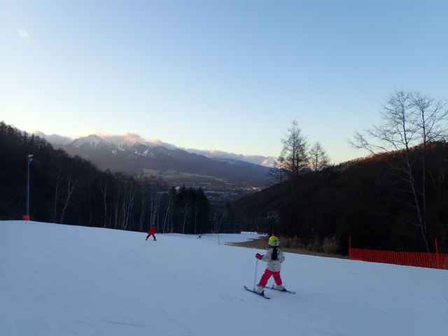 f:id:mochikichi-blog:20210117221342j:plain