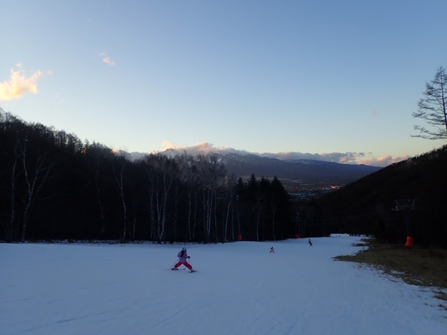 f:id:mochikichi-blog:20210117221347j:plain