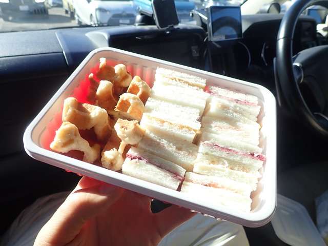 f:id:mochikichi-blog:20210203103610j:plain