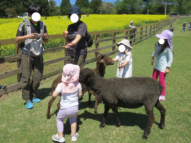 f:id:mochikichi-blog:20210517224953j:plain