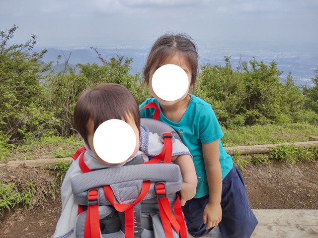 f:id:mochikichi-blog:20210604225054j:plain