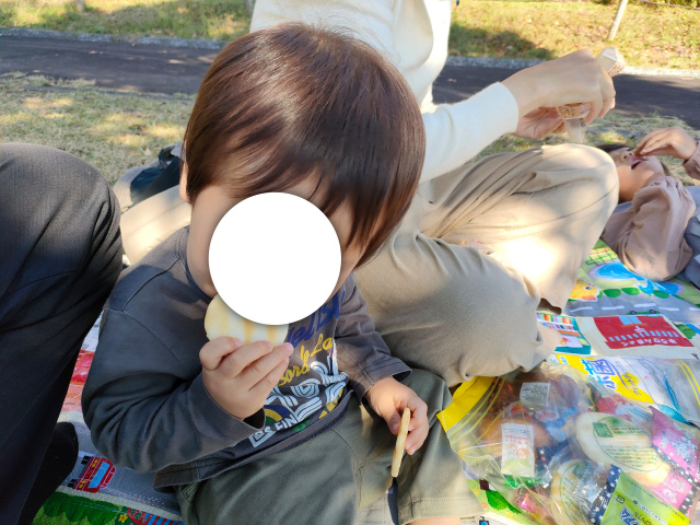 f:id:mochikichi-blog:20211026222533j:plain