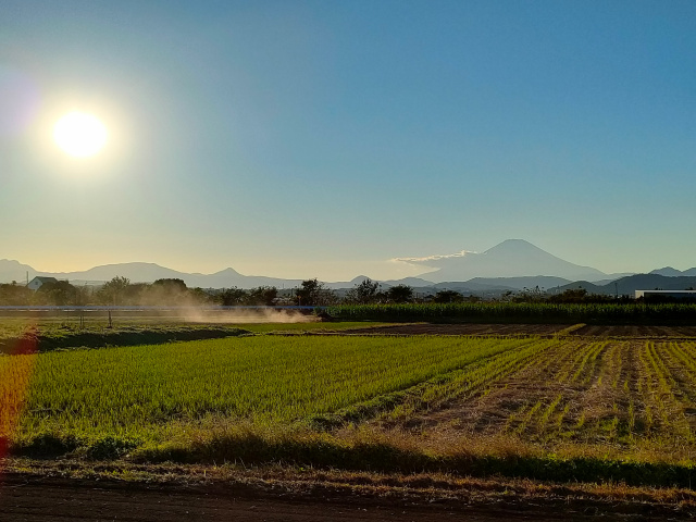 f:id:mochikichi-blog:20211101221349j:plain