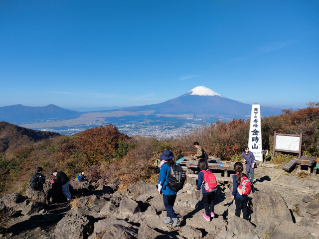 f:id:mochikichi-blog:20211101221501j:plain