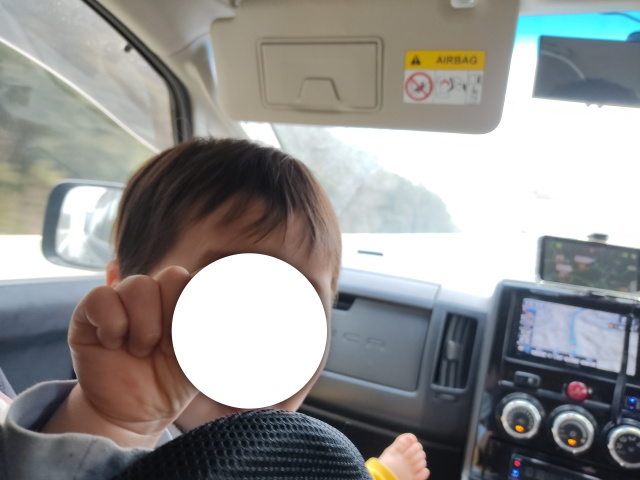 f:id:mochikichi-blog:20220106155209j:plain