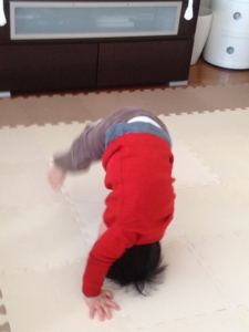 f:id:mochikon:20120204151131j:image:right f:id:mochikon:20120204151131j:image:right