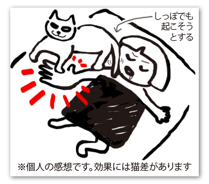 老猫を黙らせるの図