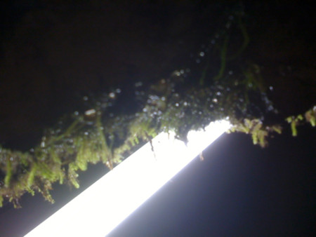 f:id:mochilon:20090819224945j:image